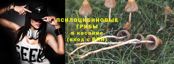 не бодяженный Каменногорск