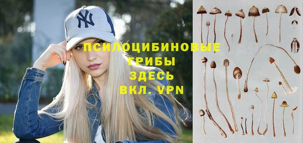 не бодяженный Каменногорск